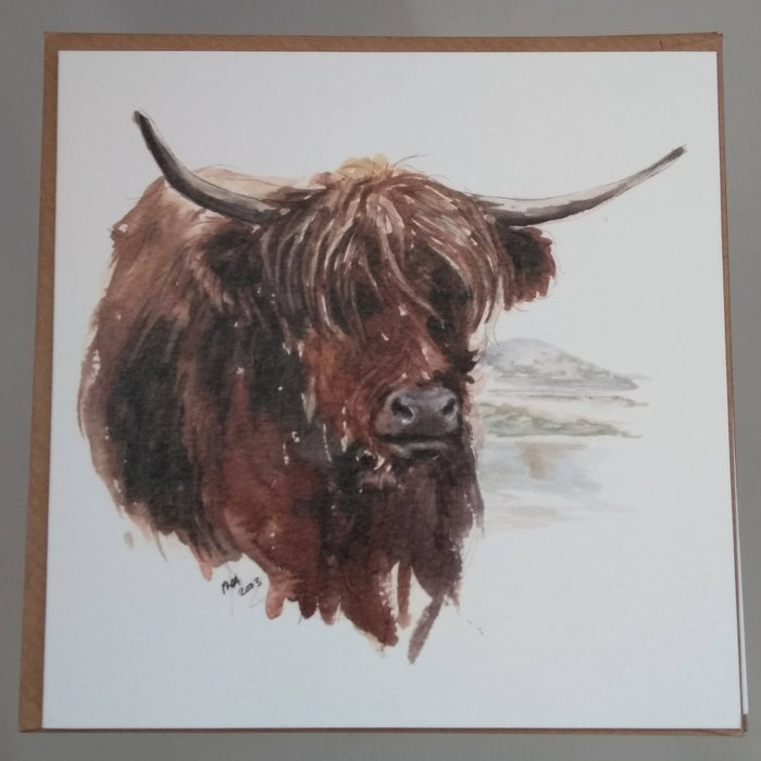 Set of 6 assorted Highland Cattle Greeting Cards