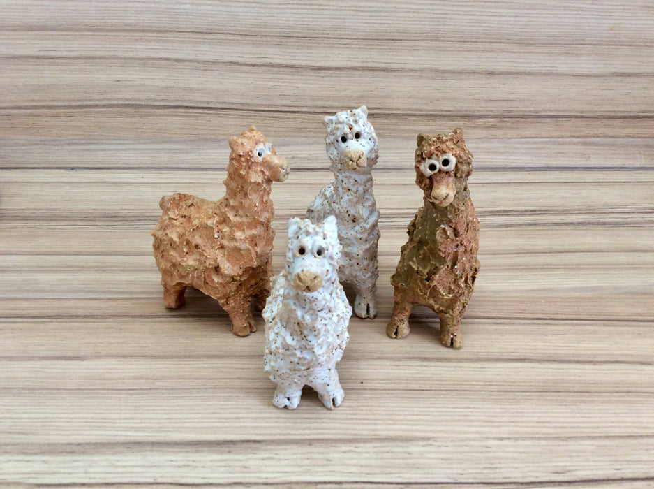 Mini Alpacas