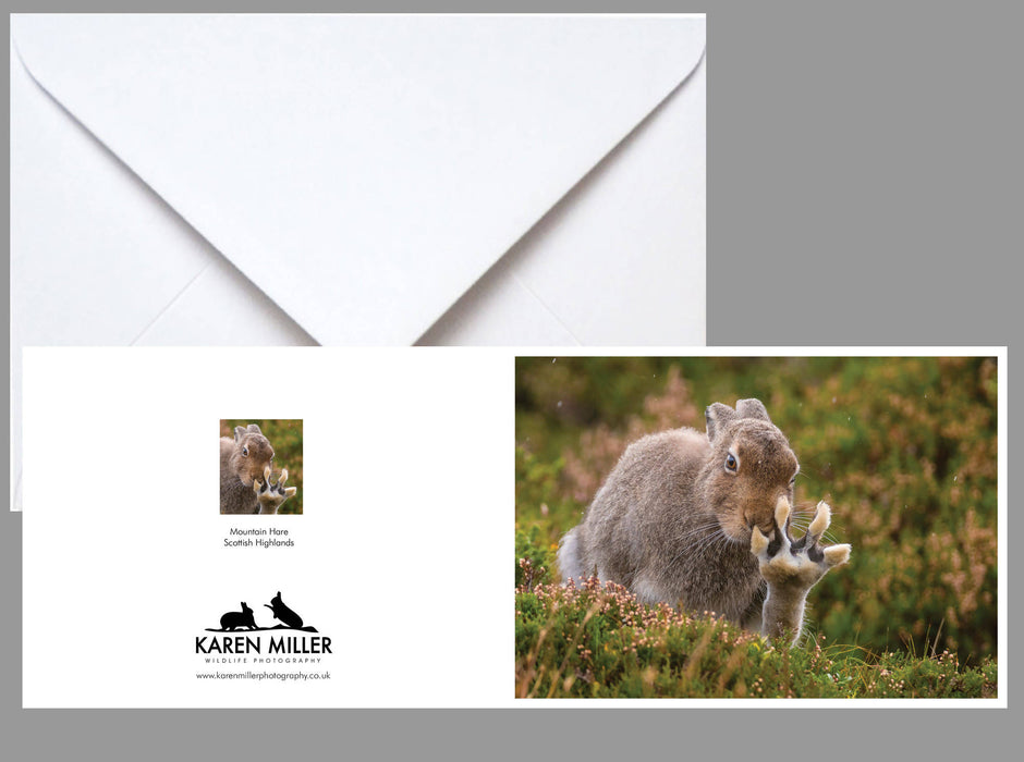 Summer Mountain Hare Waving Greeting Card