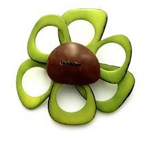 Handmade Tagua Nut Flower Brooch