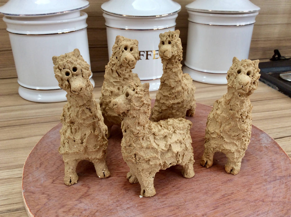 Mini Alpacas