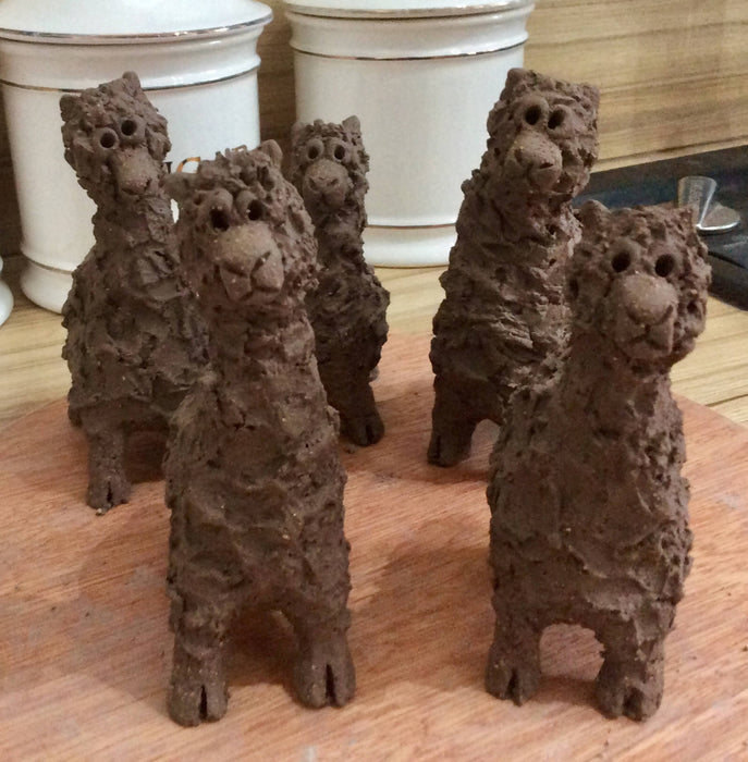 Mini Alpacas