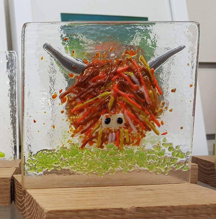 Highland Coo Suncatcher