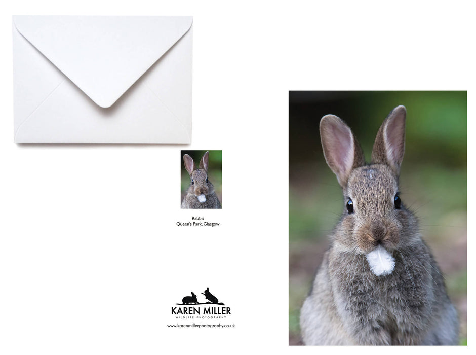 Rabbit Greeting Card