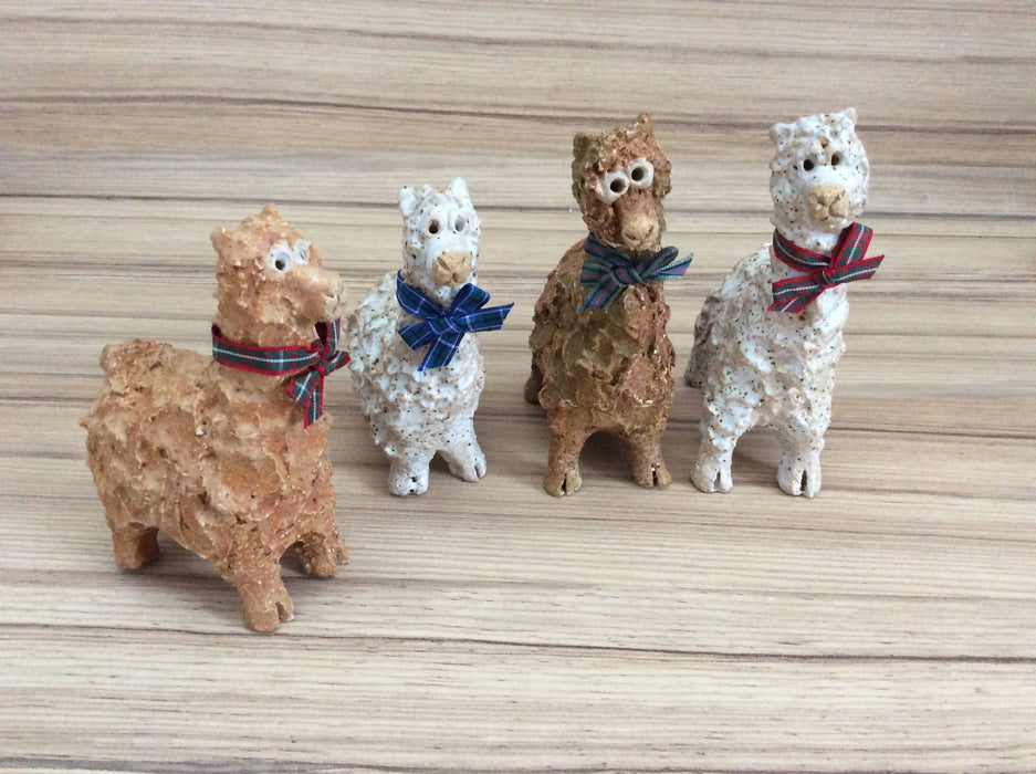 Mini Alpacas