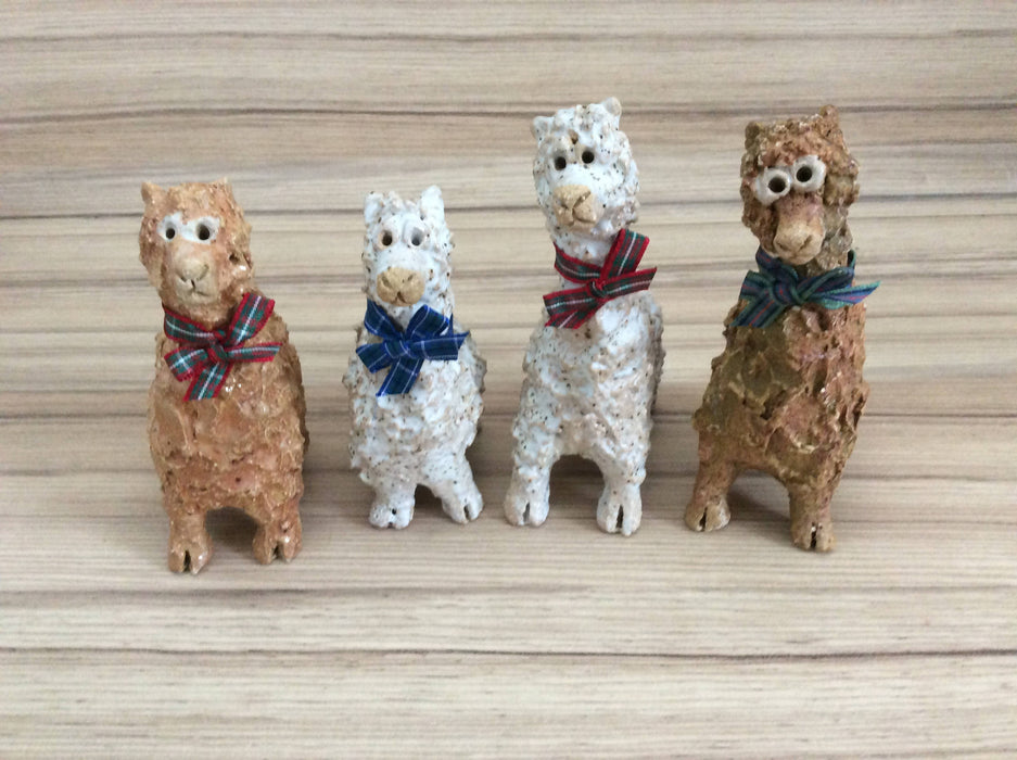 Mini Alpacas