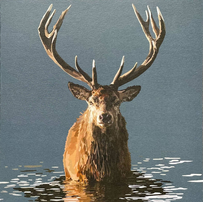 Scottish stag greeting card