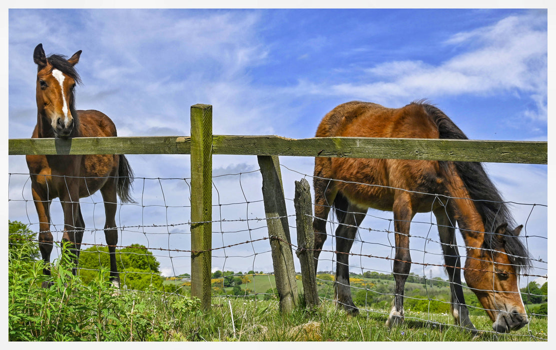 Scottish Landscape photography