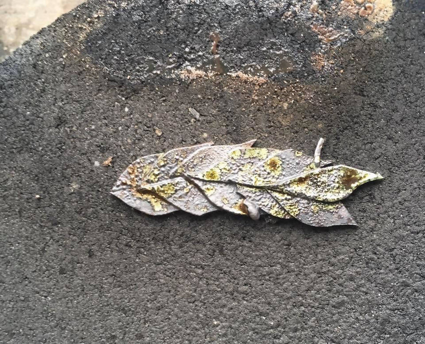 Sterling silver articulated leaf themed necklace