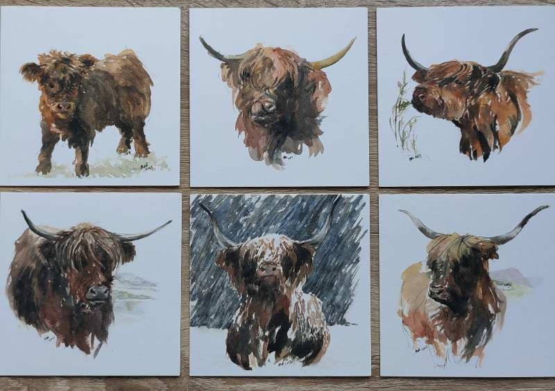 Set of 6 assorted Highland Cattle Greeting Cards