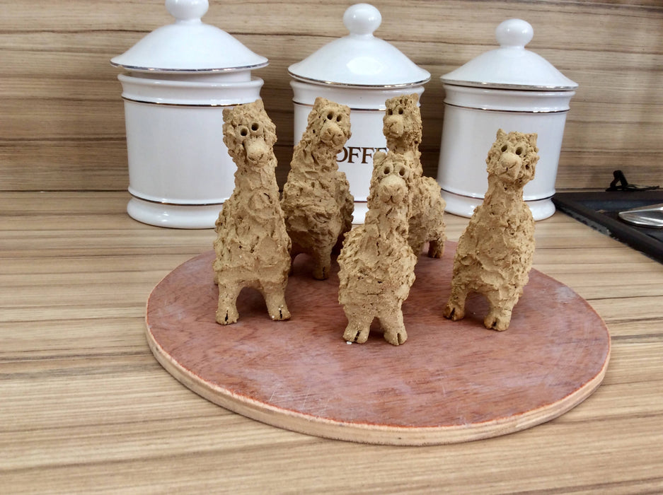 Mini Alpacas