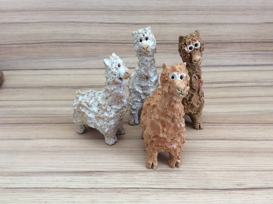 Mini Alpacas